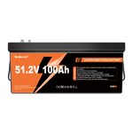Yeagulch 48V 100Ah Deep Cycle  LiFePO4 Battery  Rechargeable